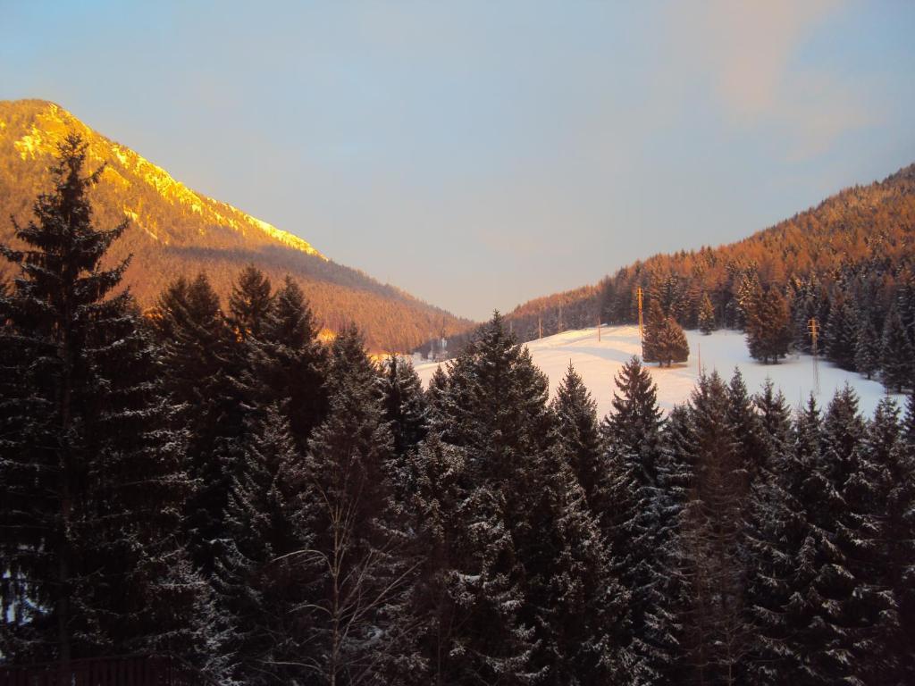 Hotel Des Alpes Castione della Presolana Room photo